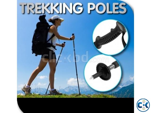 Anti-Shock Hiking Walking Stick Trekking Pole Metal large image 0