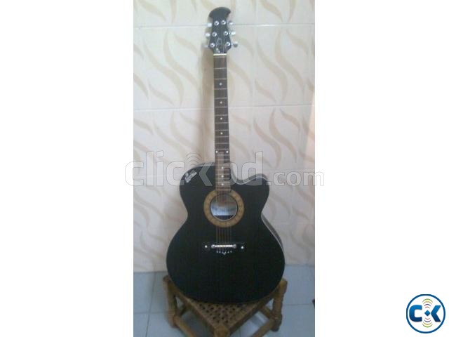 Signature Loud Guiter large image 0