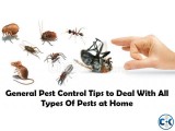 Pest control service in Uttara