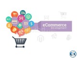 Ecommerce development