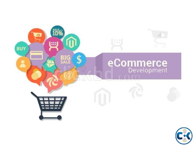 Ecommerce development large image 0