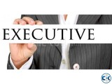 Sales Marketing Executive