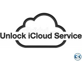 special ICLOUD unlock service