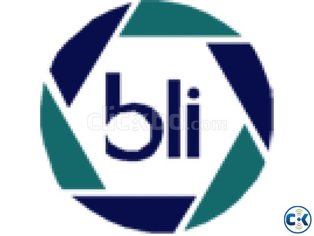 FA FIELD OFFICER at BLI CO LTD large image 0