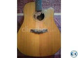Fannndec Acoustic Guitar