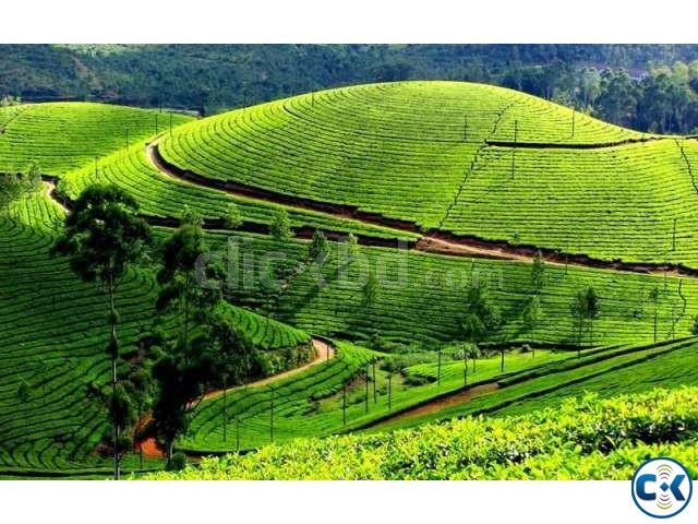 Darjeeling Tour Package large image 0