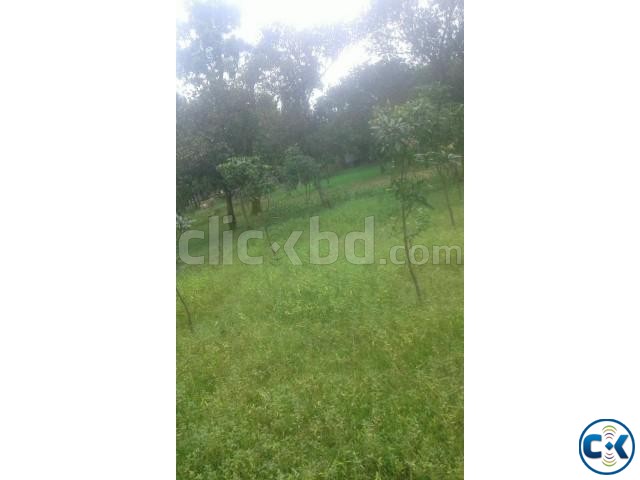 Land for sale Bhaluka Mymensingh large image 0