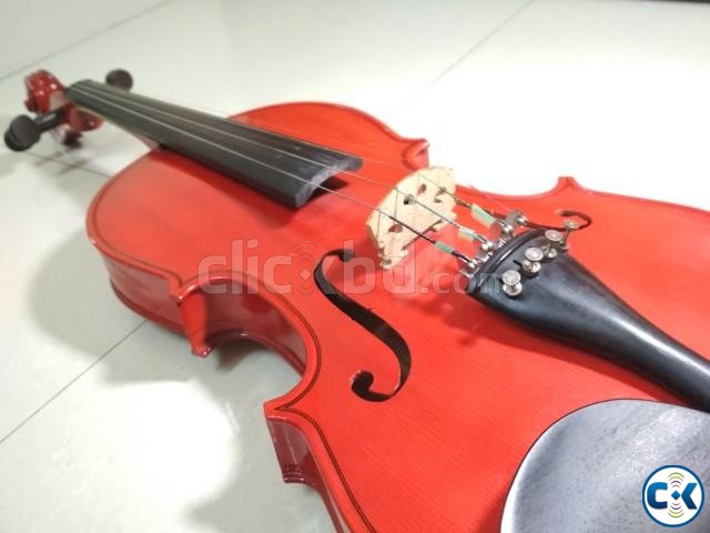 Stentor Violin Imported from India large image 0