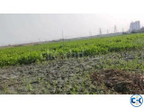 2.5 Katha Plot for Sale Inside Dhaka South City 75 Ward 