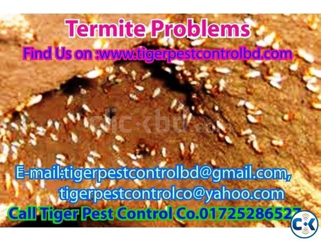 Pest Control large image 0