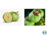 Garcinia Cambogia -Fat burning pills