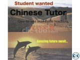 Chinese Language tutor