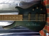 BASS -5 STRING TGM BASS GUITAR URGENT SELL 