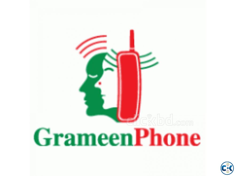 GrameenPhone 01711 017111 0171111 0171100 VIP SIM CARD large image 0