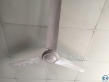 White Gypsum Ceiling