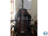 CORDOBA 5 STRING GUITAR