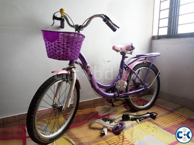 Phoenix Baby Girld Bicycles Pink color large image 0