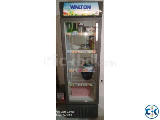 walton freeze large image 0