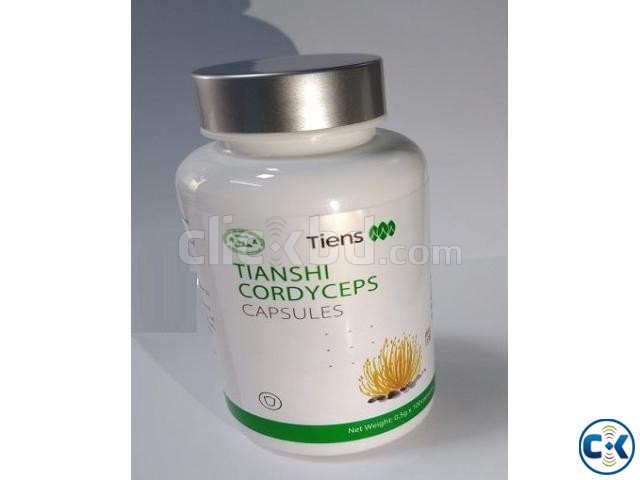 Tiens Cordyceps Capsule BD large image 0