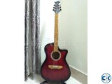 Acoustic guitar