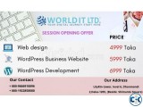 Website Design and Development