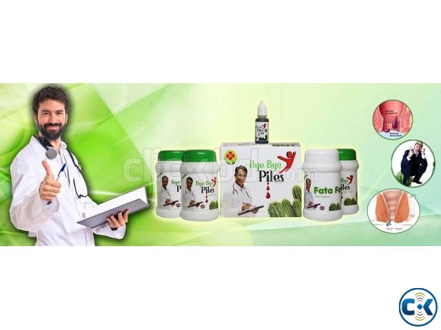 Bye Bye piles Ayurvedic Solution large image 2