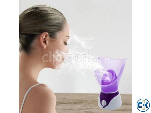 NTFS Beauty Facial Steamer -Thermal Spa Nano Aromatherapy St large image 2
