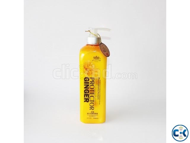 Anti Hair Loss Protector GINGER Shampoo -1000ml large image 1