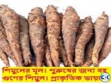 শিমুলের মূল বিক্রয় করা হবে