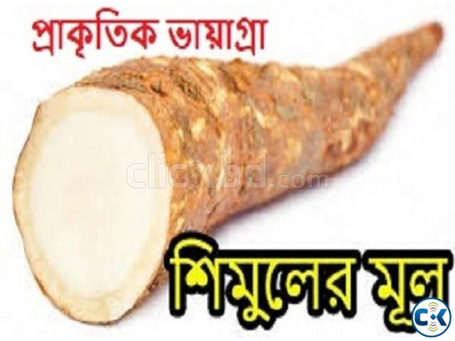 শিমুলের মূল বিক্রয় করা হবে large image 2