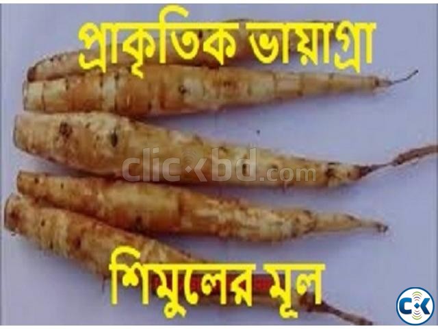 শিমুলের মূল বিক্রয় করা হবে large image 3