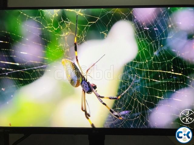 LG Gaming Monitor 27 inch 144Hz large image 2