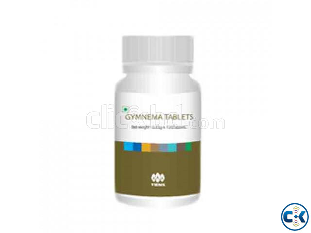 Tiens Gymnema Tablets large image 0