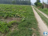 Noakhali maijdi sadar sujapur plot for sale