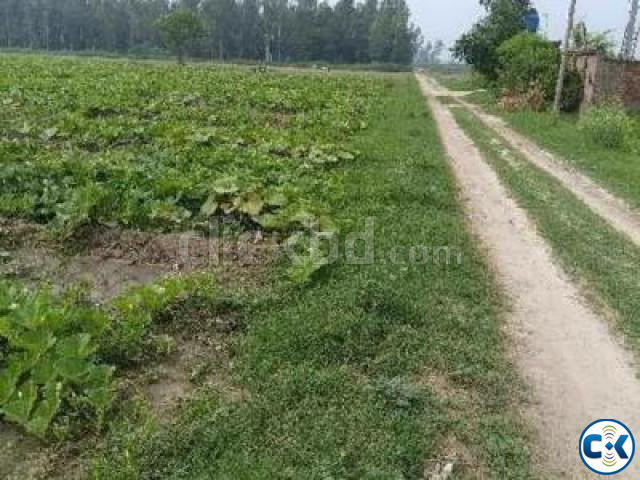 Noakhali maijdi sadar sujapur plot for sale large image 0