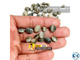 Chrysoberyl Cats Eye Gemstone - ইন্ডিয়ান ক্যাটসআই পাথর