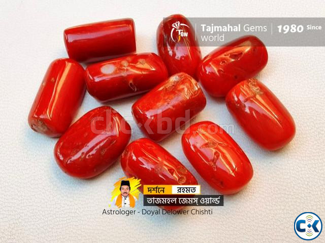 Natural Italian Coral Gemstone - ইটালি রক্ত প্রবাল পাথর large image 2