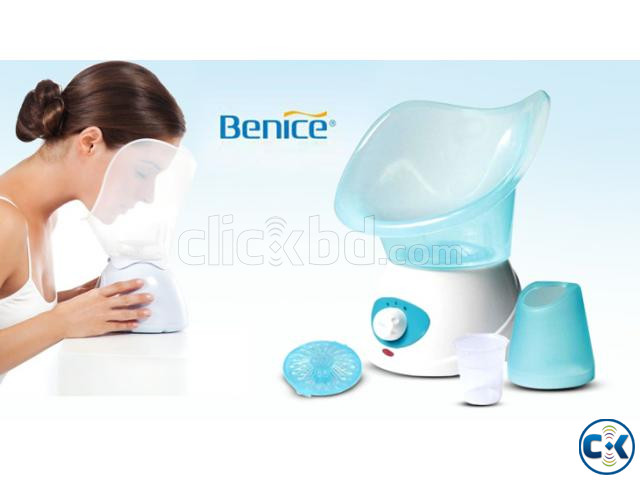 Beauty Facial Steamer vaporizer Machine large image 0