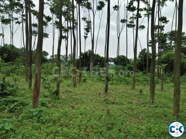 পূর্বাচল থেকে সুবিধাজনক দূরত্বে ৩৯ শতাংশ জমি বিক্রি হবে large image 0