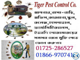Insect Control Tiger Pest Control Co.