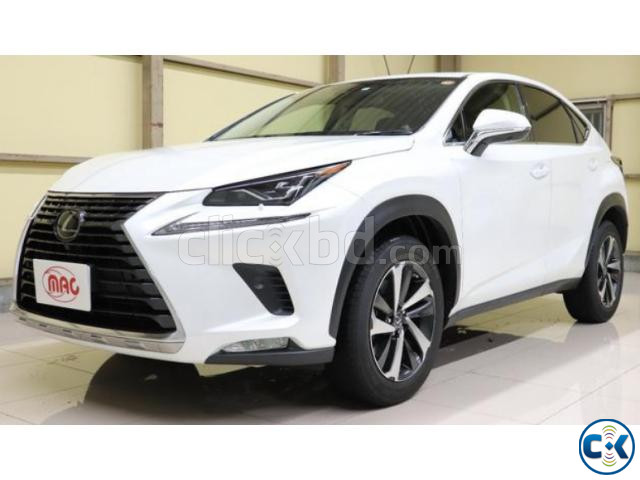 LEXUS NX300H 2018 PEARL large image 1