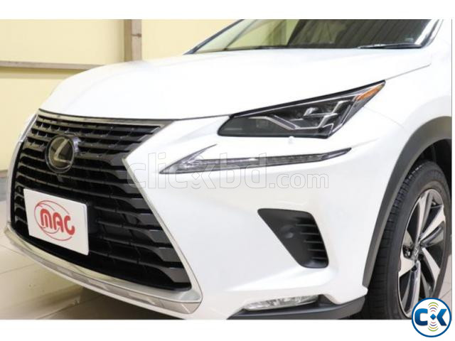 LEXUS NX300H 2018 PEARL large image 2