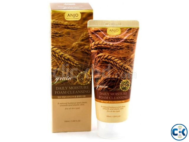 Anjo Grain Foam Cleanser--100ml large image 0