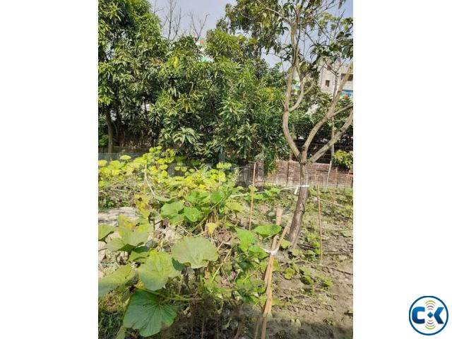 EXCLUSIVE READY PLOT SALE IN NARAYANGANJ BRISTIDHARA R A B B large image 2