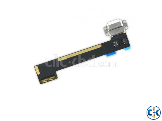 iPad mini 4 Lightning Connector large image 1