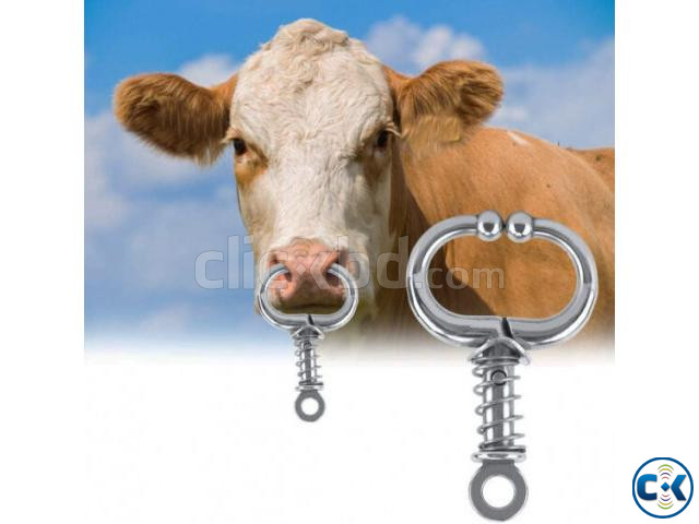 Stainless Steel Bull Cow Cattle Bovine Nose Ring Hoop Hanger large image 0