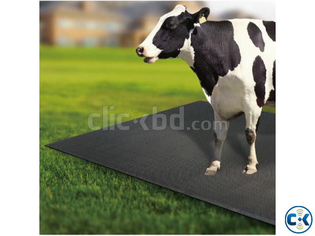 Cow Buffalo Dog Horse Mat rubber Pad In bangladesh large image 0