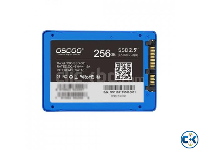 256gb oscoo ssd large image 2