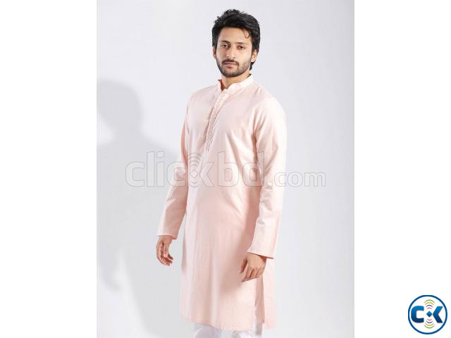 Soft Pink Thread Handwork Regular Fit Panjabi large image 0