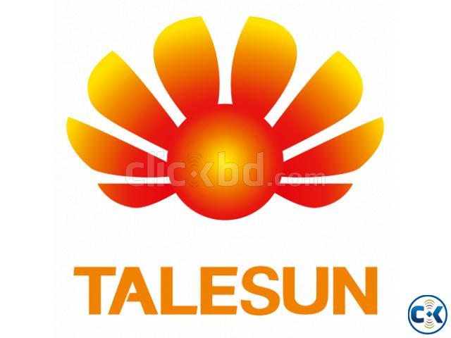 German Talesun Solar Panel 550 Watt large image 2